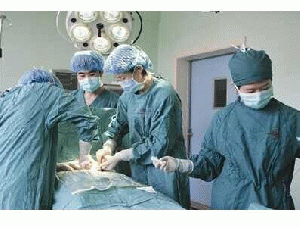 Stem Cell Transplant For Kidney Disease